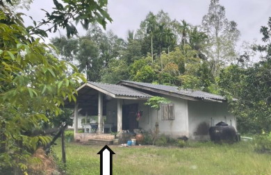 รูปที่ดินพร้อมสิ่งปลูกสร้าง บ้านตูล ชะอวด นครศรีธรรมราช