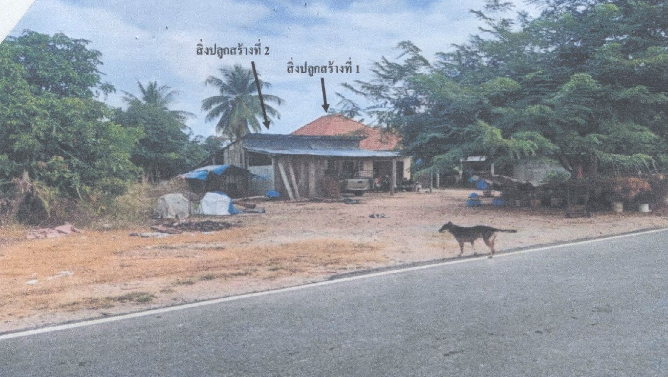 รูปที่ดินพร้อมสิ่งปลูกสร้าง เนินปอ สามง่าม พิจิตร