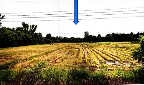 รูปที่ดินว่างเปล่า นายม เมืองเพชรบูรณ์ เพชรบูรณ์