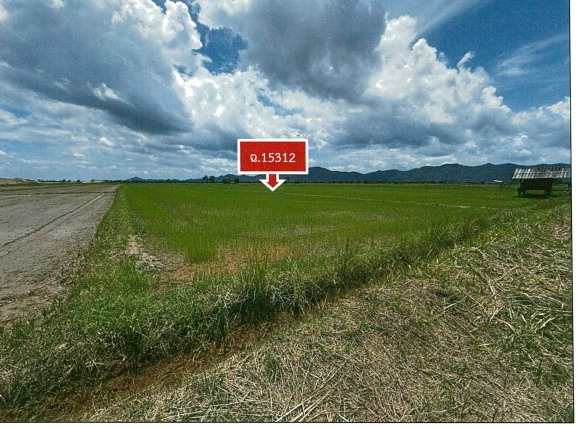 รูปที่ดินว่างเปล่า สันมะค่า ป่าแดด เชียงราย