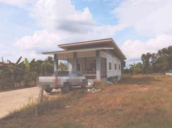 รูปที่ดินพร้อมสิ่งปลูกสร้าง ฆะมัง เมืองพิจิตร พิจิตร