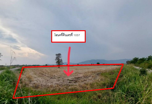 รูปที่ดินว่างเปล่า เนินกว้าว โกรกพระ นครสวรรค์