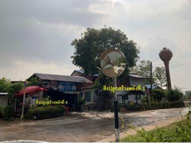 รูปที่ดินพร้อมสิ่งปลูกสร้าง ชัยนาม วังทอง พิษณุโลก