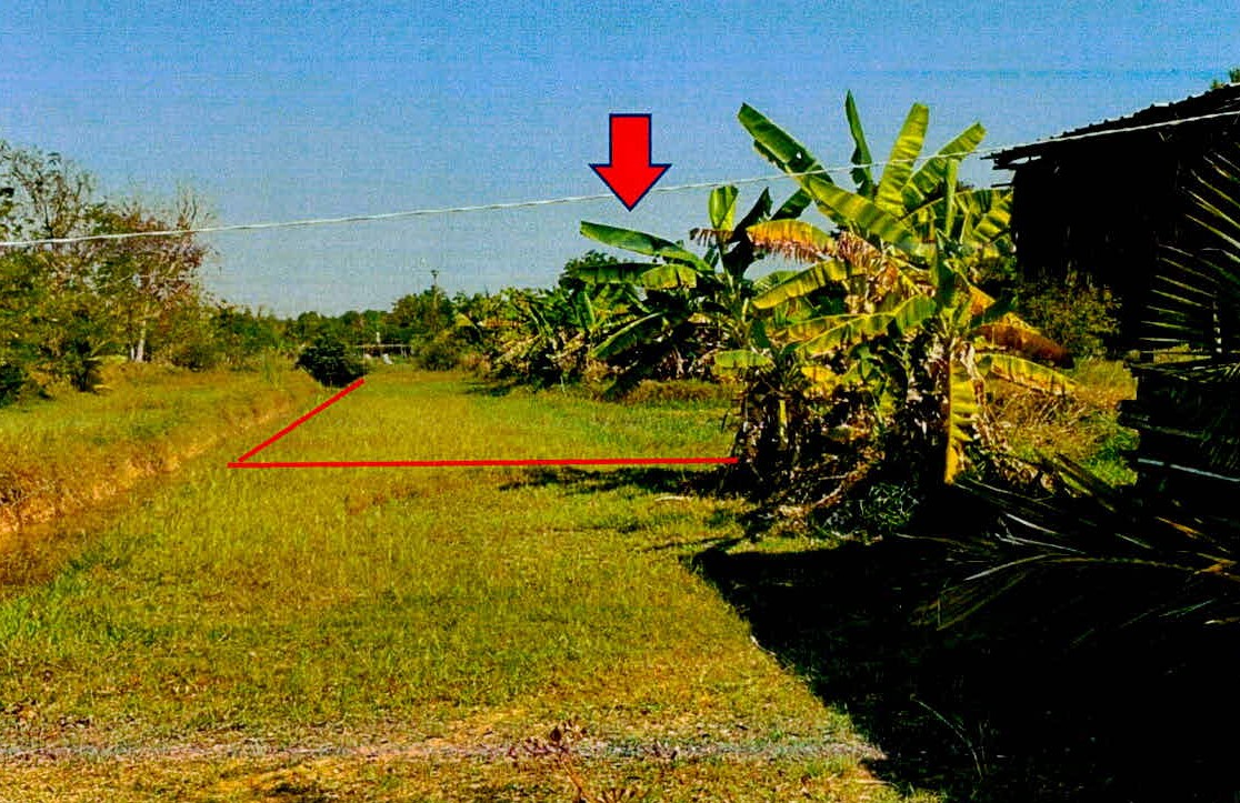 รูปที่ดินว่างเปล่า นาดี เมืองสุรินทร์ สุรินทร์