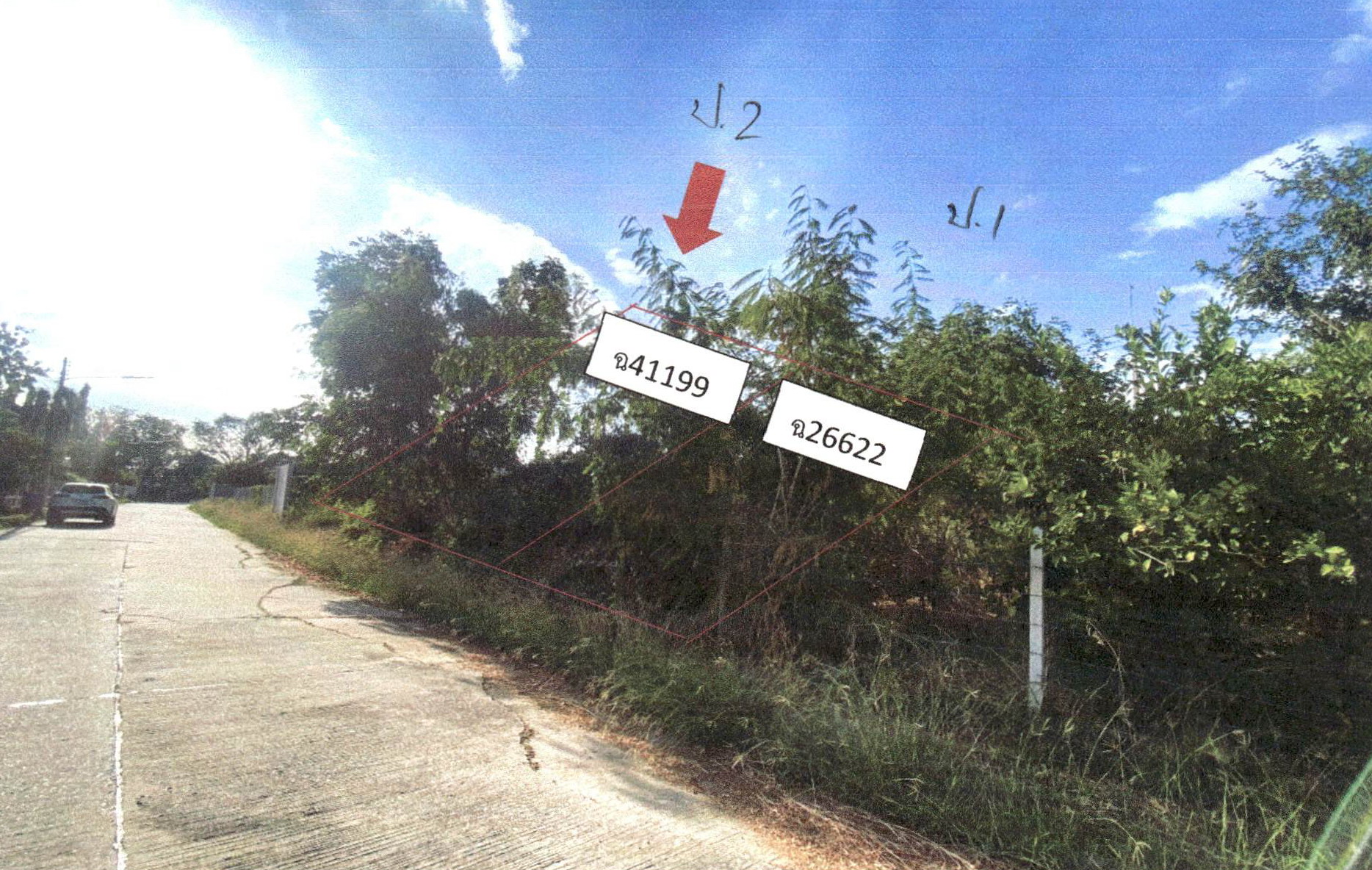 รูปที่ดินว่างเปล่า ท้ายเกาะ สามโคก ปทุมธานี