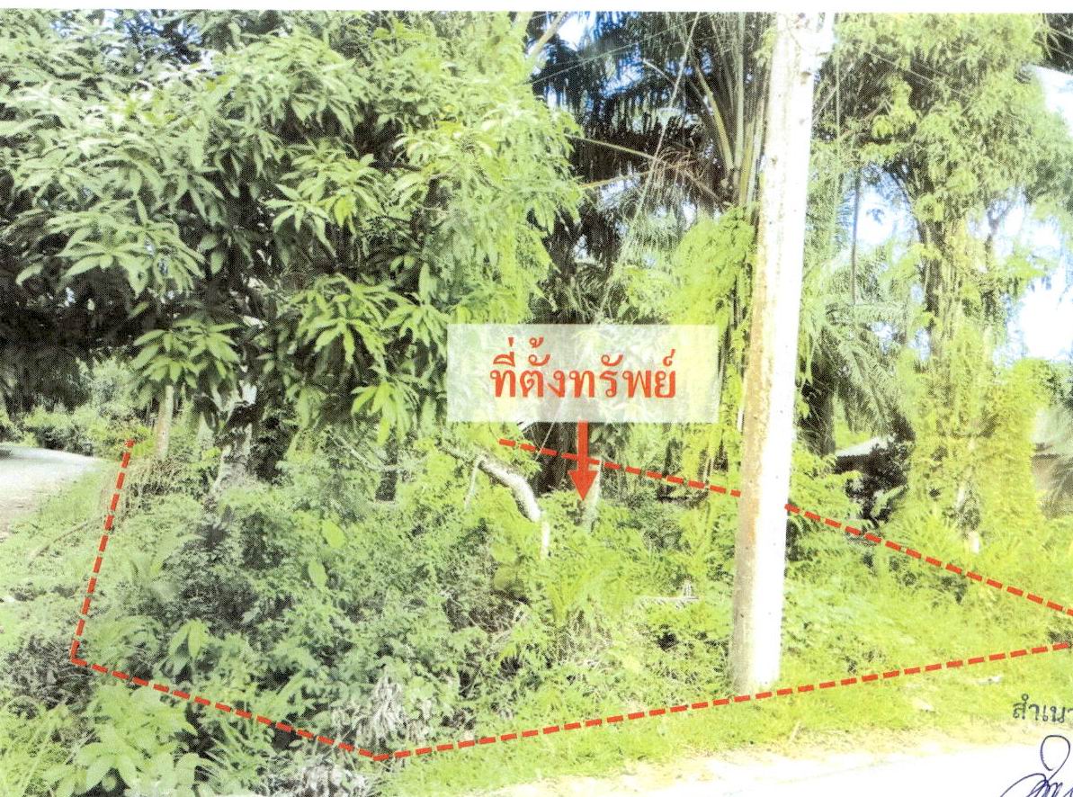 รูปที่ดินว่างเปล่า แหลมสัก อ่าวลึก กระบี่