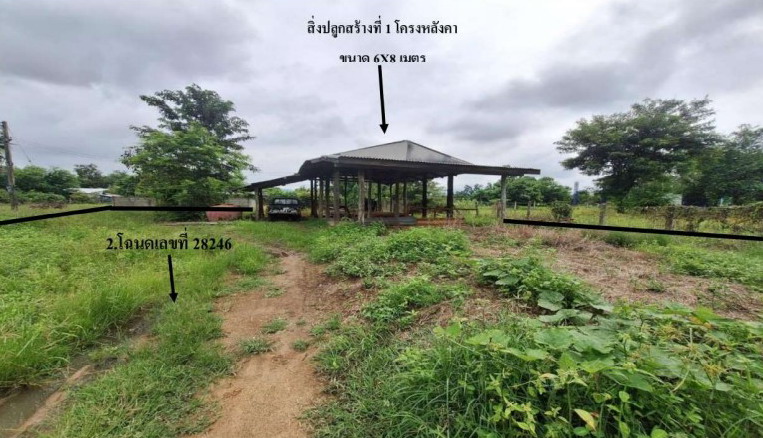 รูปที่ดินพร้อมสิ่งปลูกสร้าง ลาดแค ชนแดน เพชรบูรณ์