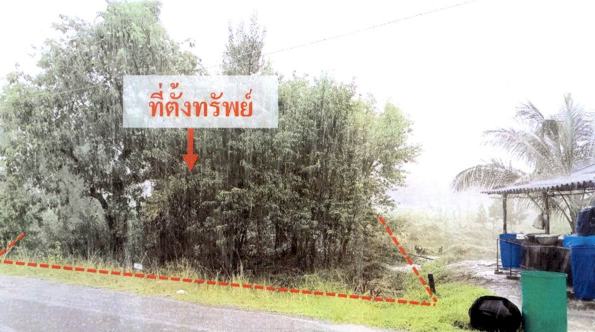 รูปที่ดินว่างเปล่า ตลิ่งชัน เหนือคลอง กระบี่