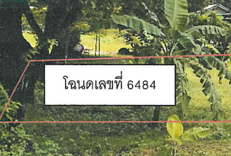 รูปที่ดินว่างเปล่า ไม้งาม เมืองตาก ตาก