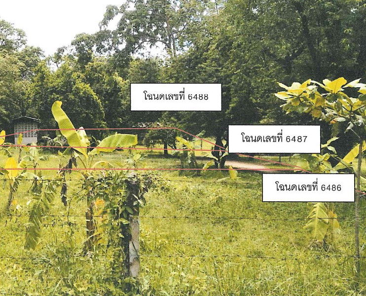 รูปที่ดินว่างเปล่า ไม้งาม เมืองตาก ตาก