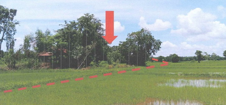 รูปที่ดินว่างเปล่า หนองปลาปาก ศรีเชียงใหม่ หนองคาย