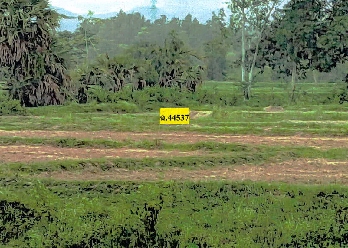 รูปที่ดินว่างเปล่า เวียงตาล ห้างฉัตร ลำปาง