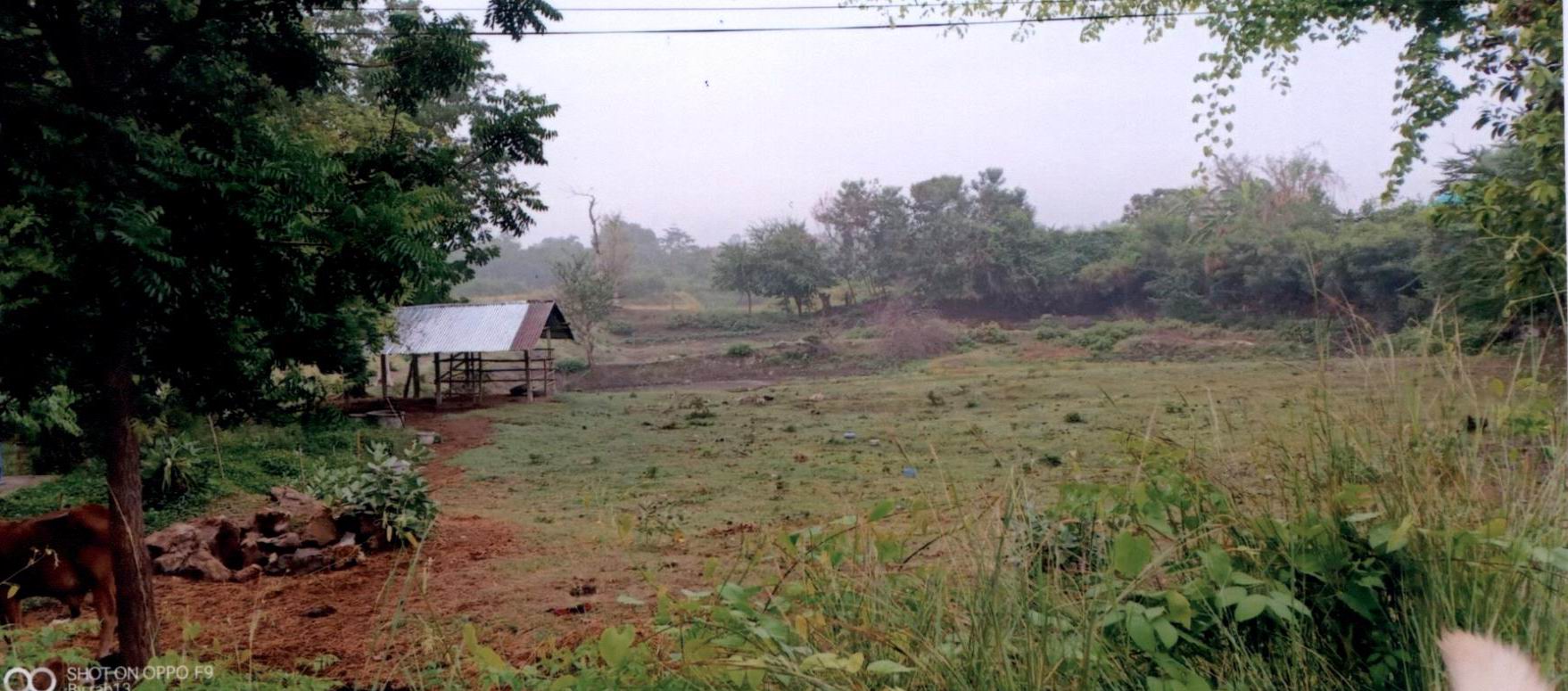 รูปที่ดินว่างเปล่า พัฒนานิคม พัฒนานิคม ลพบุรี