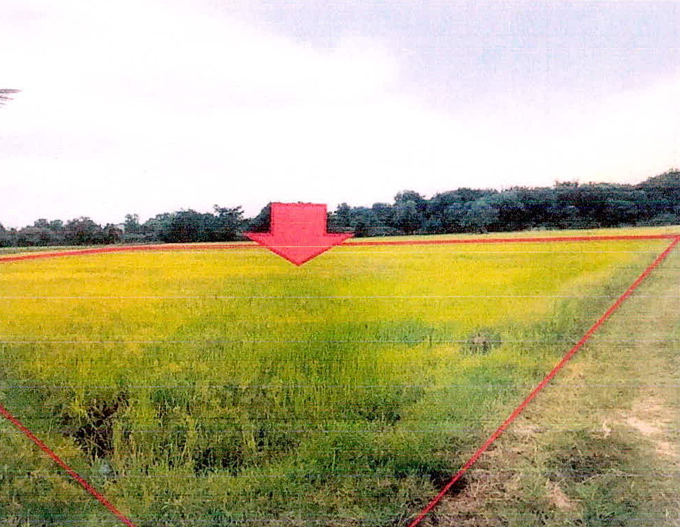 รูปที่ดินว่างเปล่า โพธิ์ เมืองศรีสะเกษ ศรีสะเกษ