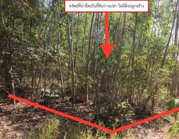 รูปที่ดินว่างเปล่า แวงน่าง เมืองมหาสารคาม มหาสารคาม