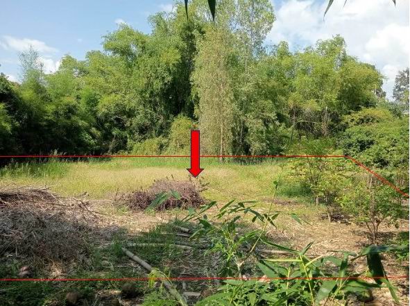 รูปที่ดินว่างเปล่า ท่าเยี่ยม กิ่งอำเภอสากเหล็ก พิจิตร