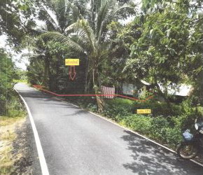 รูปที่ดินพร้อมสิ่งปลูกสร้าง สะพานไม้แก่น จะนะ สงขลา