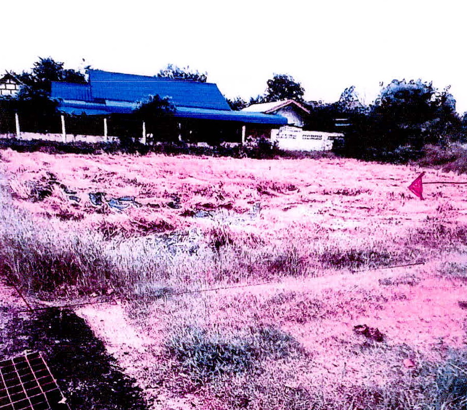 รูปที่ดินว่างเปล่า ห้วยทับทัน ห้วยทับทัน ศรีสะเกษ