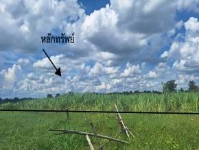 รูปที่ดินว่างเปล่า นามะเขือ สหัสขันธ์ กาฬสินธุ์