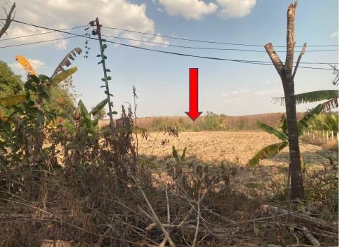 รูปที่ดินว่างเปล่า อุ่มเหม้า ธาตุพนม นครพนม