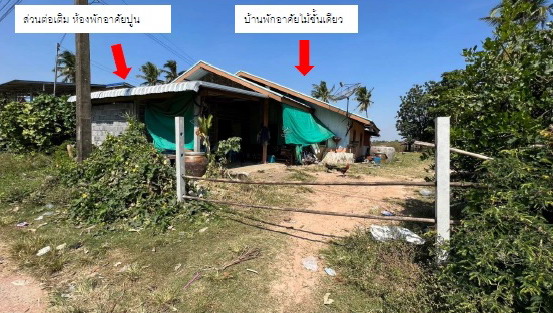 รูปที่ดินพร้อมสิ่งปลูกสร้าง หนองเต็ง กระสัง บุรีรัมย์