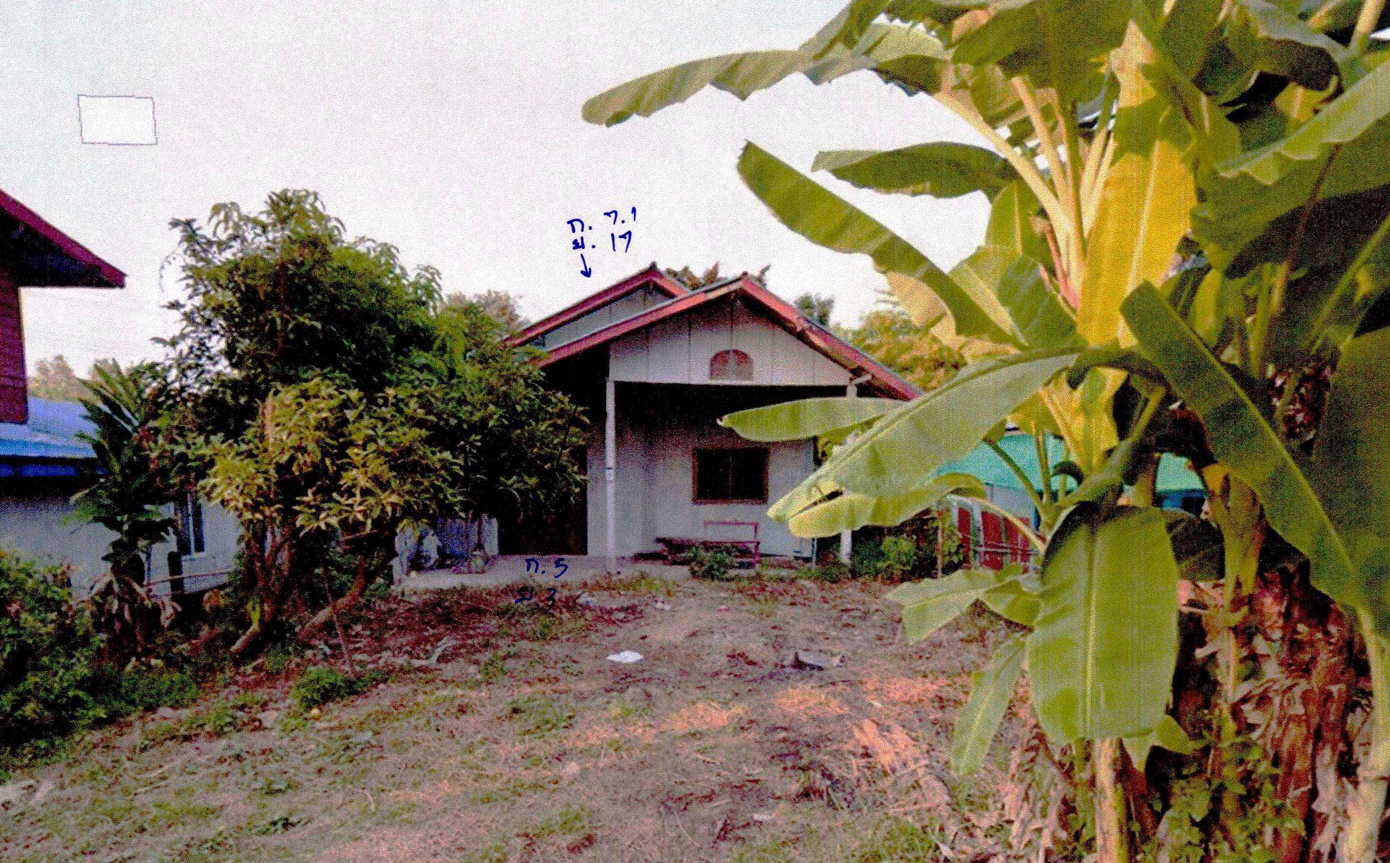 รูปที่ดินพร้อมสิ่งปลูกสร้าง สีกาย เมืองหนองคาย หนองคาย