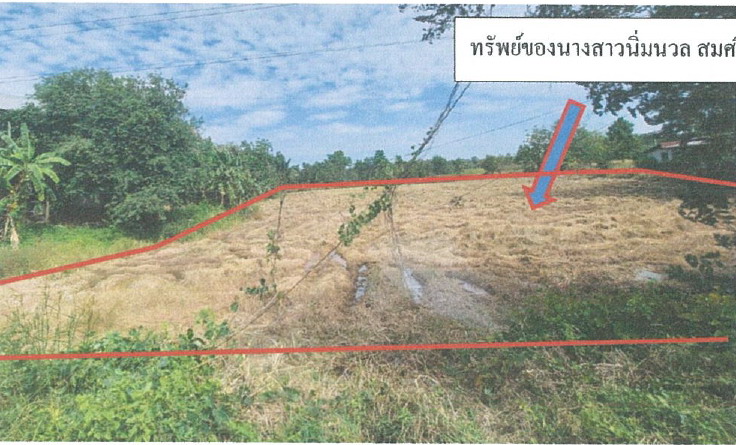 รูปที่ดินว่างเปล่า อำนาจ ลืออำนาจ อำนาจเจริญ