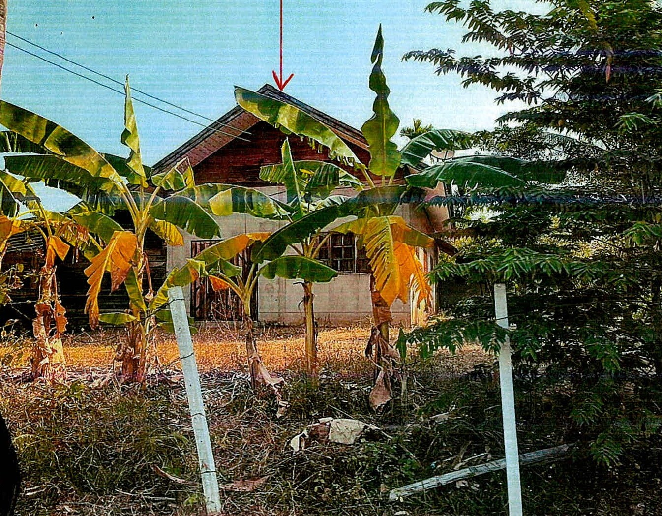 รูปที่ดินพร้อมสิ่งปลูกสร้าง หนองใหญ่ ปราสาท สุรินทร์