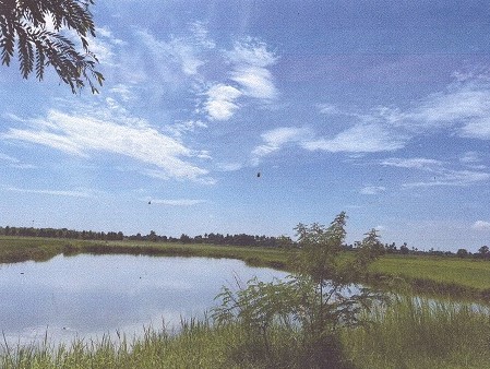รูปที่ดินว่างเปล่า นครชุมน์ บ้านโป่ง ราชบุรี