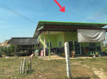 รูปที่ดินพร้อมสิ่งปลูกสร้าง หนองบัวฮี พิบูลมังสาหาร อุบลราชธานี