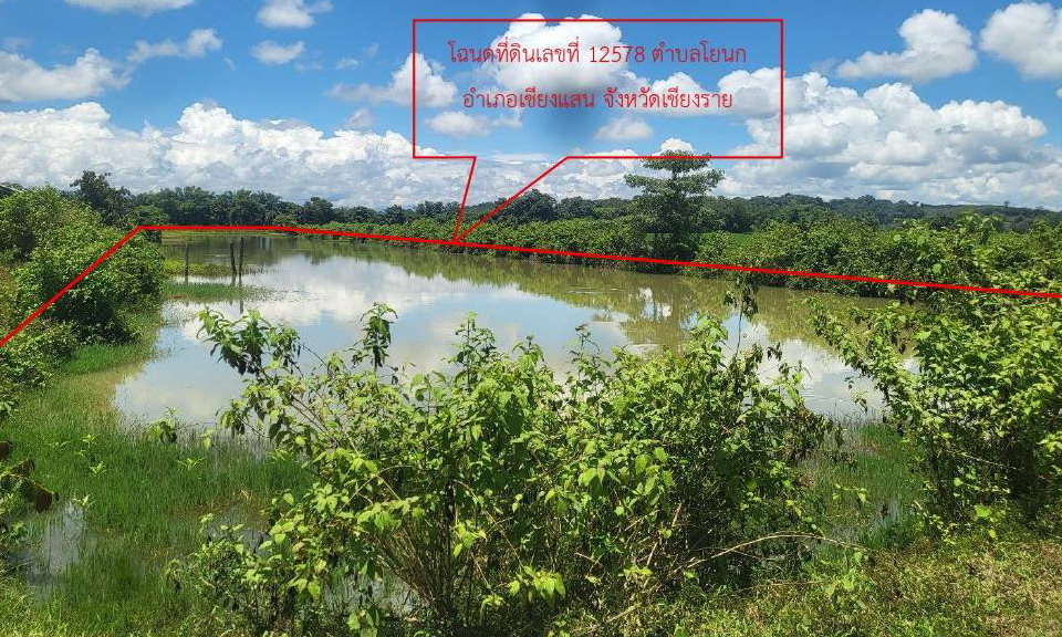 รูปที่ดินว่างเปล่า โยนก เชียงแสน เชียงราย