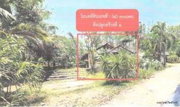 รูปที่ดินพร้อมสิ่งปลูกสร้าง ปาดังเบซาร์ สะเดา สงขลา