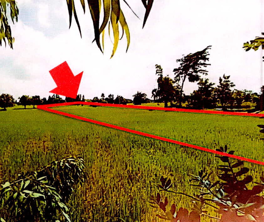 รูปที่ดินว่างเปล่า สระกำแพงใหญ่ อุทุมพรพิสัย ศรีสะเกษ