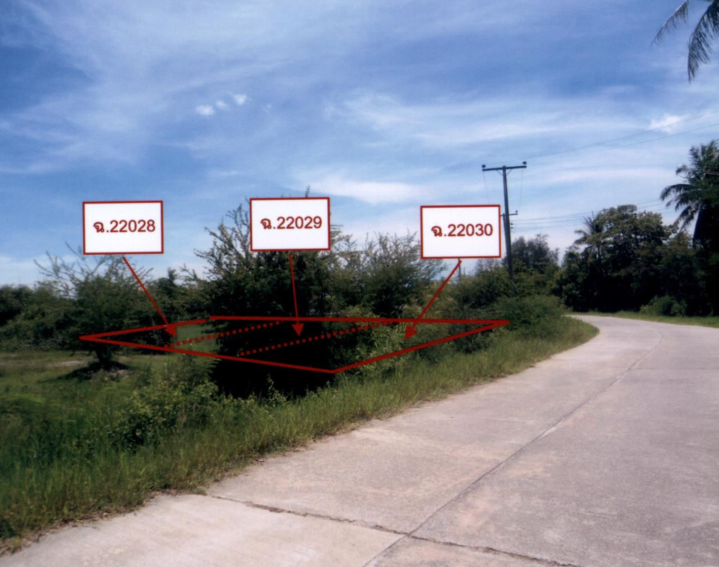 รูปที่ดินว่างเปล่า คลองวาฬ เมืองประจวบคีรีขันธ์ ประจวบคีรีขันธ์