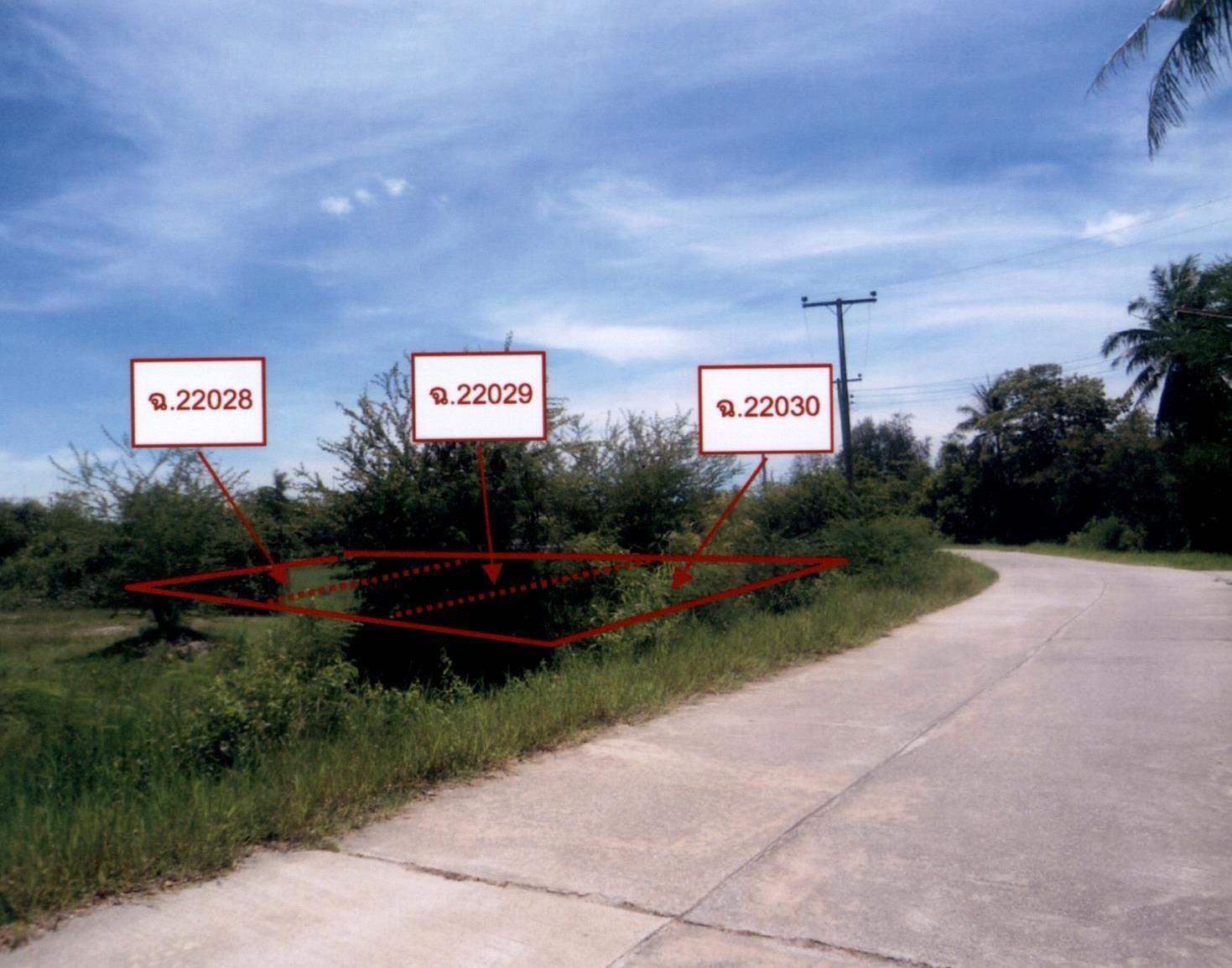 รูปที่ดินว่างเปล่า คลองวาฬ เมืองประจวบคีรีขันธ์ ประจวบคีรีขันธ์