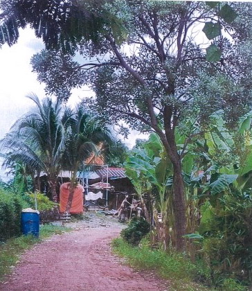 รูปที่ดินพร้อมสิ่งปลูกสร้าง ตะกุดไร ชนแดน เพชรบูรณ์