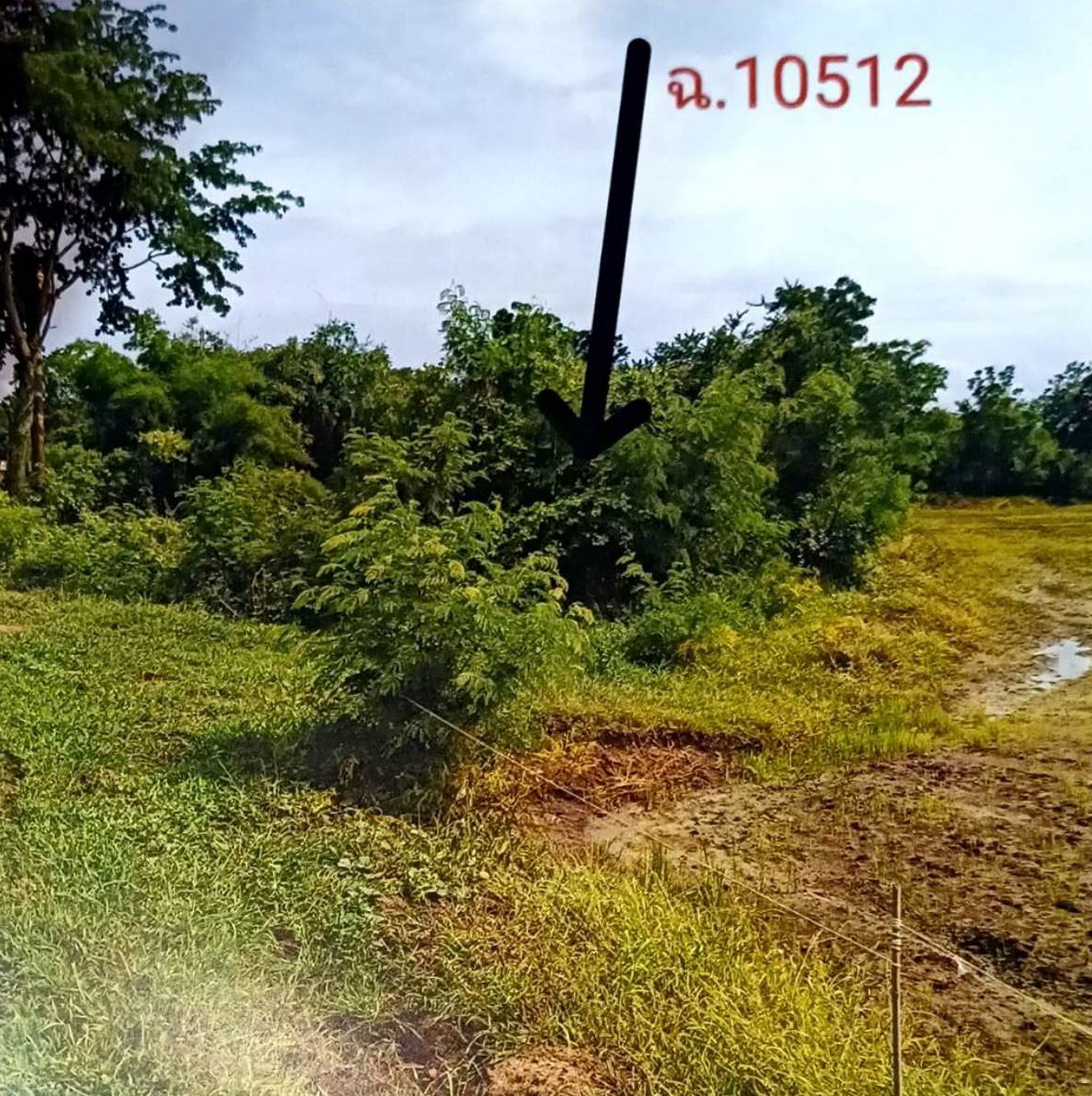รูปที่ดินว่างเปล่า (ธารทหาร)วังบ่อ หนองบัว นครสวรรค์