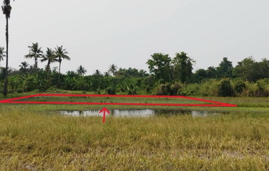 รูปที่ดินว่างเปล่า แสนตอ ขาณุวรลักษบุรี กำแพงเพชร