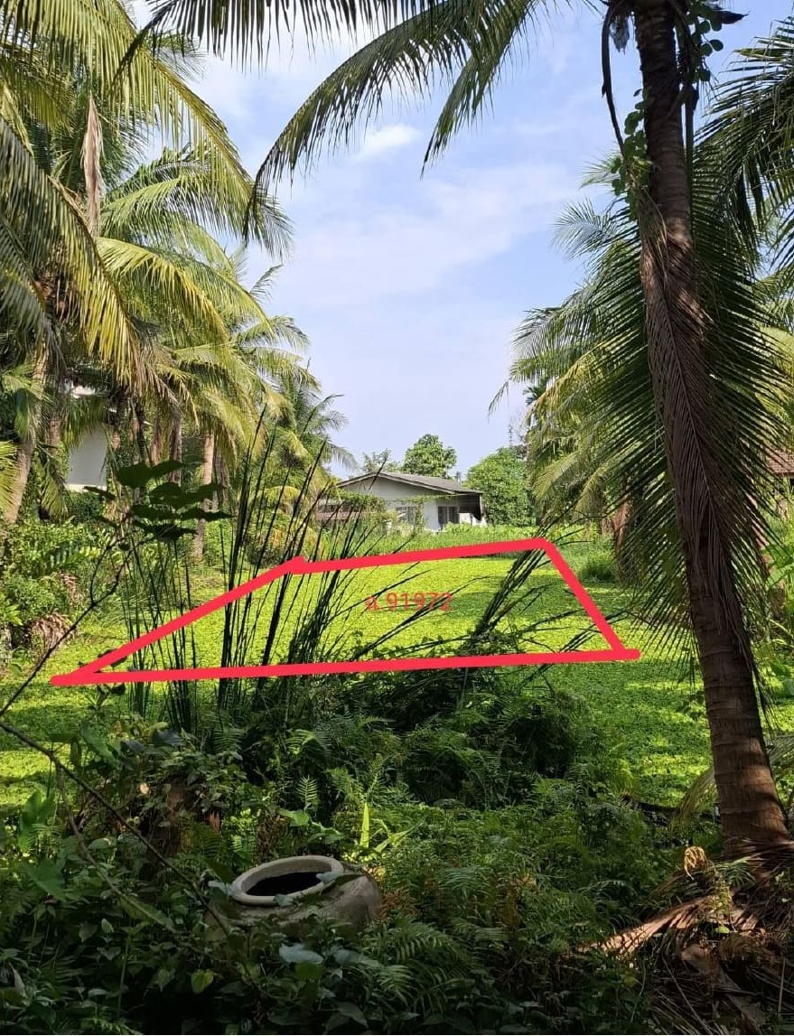 รูปที่ดินว่างเปล่า บ้านใหม่ สามพราน นครปฐม