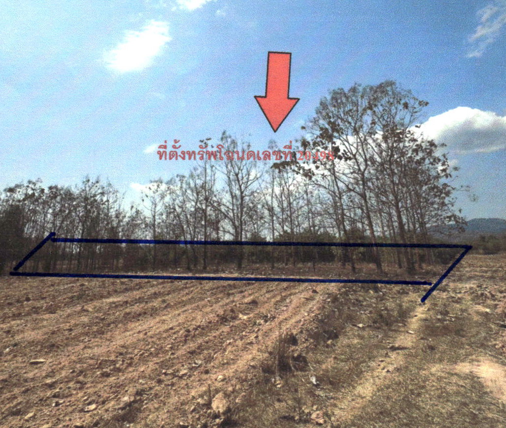 รูปที่ดินว่างเปล่า บ้านฝาย น้ำปาด อุตรดิตถ์