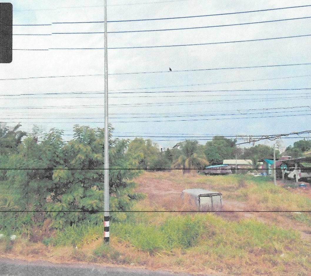 รูปที่ดินว่างเปล่า หนองแซง หันคา ชัยนาท