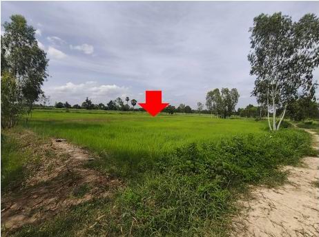 รูปที่ดินว่างเปล่า เชียงเครือ เมืองกาฬสินธุ์ กาฬสินธุ์