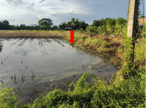 รูปที่ดินว่างเปล่า ระวิง เมืองเพชรบูรณ์ เพชรบูรณ์