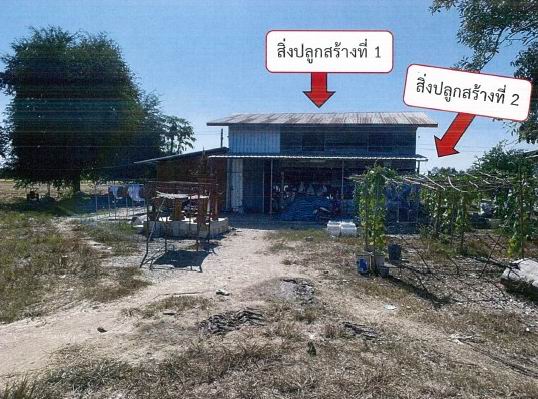 รูปที่ดินพร้อมสิ่งปลูกสร้าง ทะนง โพทะเล พิจิตร