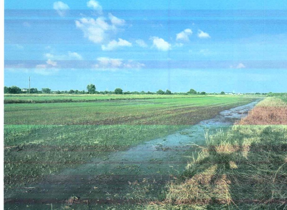รูปที่ดินว่างเปล่า คลองสิบ หนองจอก กรุงเทพมหานคร