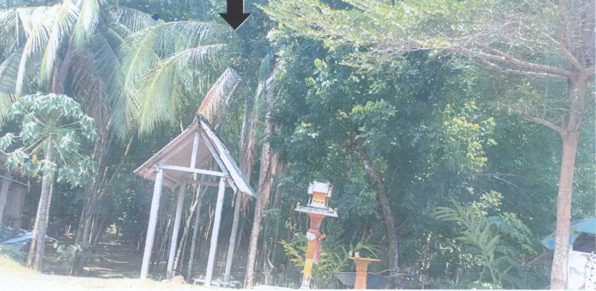 รูปที่ดินว่างเปล่า ถ้ำน้ำผุด เมืองพังงา พังงา