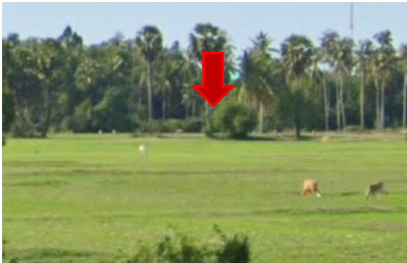 รูปที่ดินว่างเปล่า พ่อมิ่ง ปะนาเระ ปัตตานี