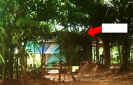 รูปที่ดินว่างเปล่า หนองมะเขือ พล ขอนแก่น