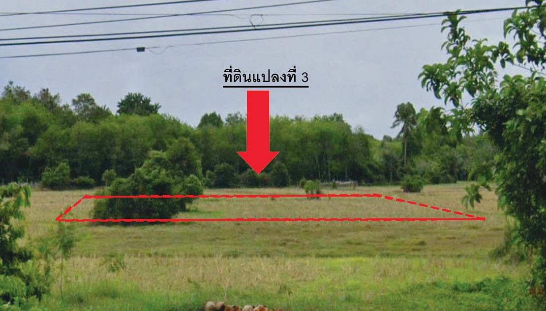รูปที่ดินว่างเปล่า เตราะบอน สายบุรี ปัตตานี