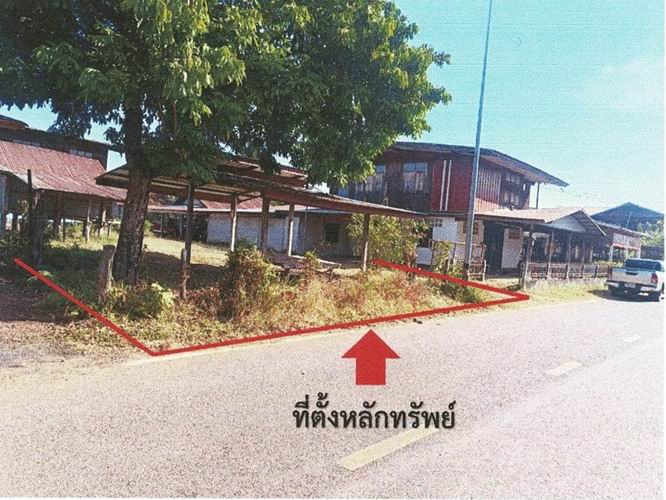 รูปที่ดินพร้อมสิ่งปลูกสร้าง โนนงาม ปทุมราชวงศา อำนาจเจริญ